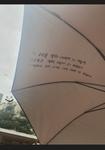 우산사진